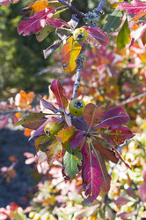 Similar image 21054711