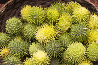 Similar image 21054719