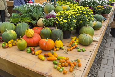 Similar image 21054723