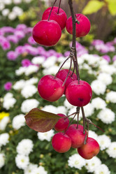 Similar image 21054725