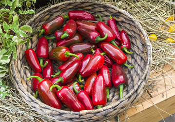 Similar image 21054726