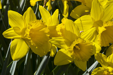 Similar image 21054731