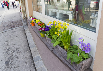 Similar image 21054734