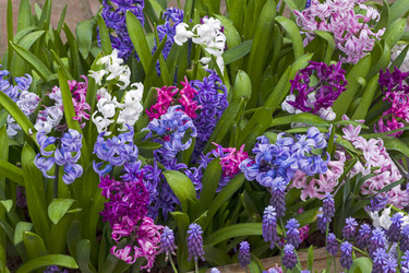 Similar image 21054738