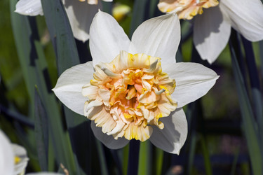 Similar image 21054797