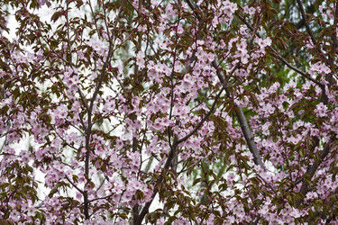 Similar image 21054798