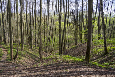 Similar image 21054800