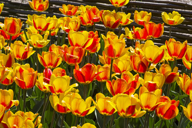 Similar image 21054801