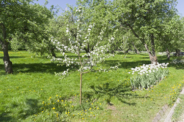 Similar image 21054802