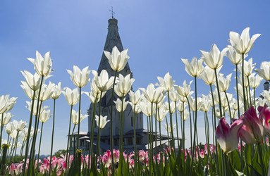 Similar image 21054803