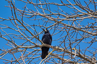 Similar image 21050989