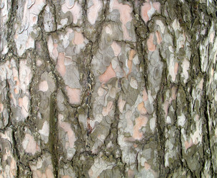 Similar image 21051453