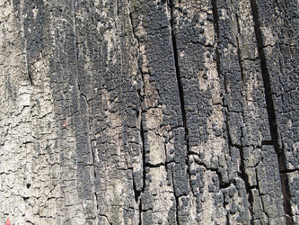 Similar image 21053685