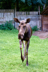 Similar image 21053710