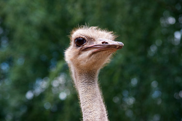 Similar image 21053711