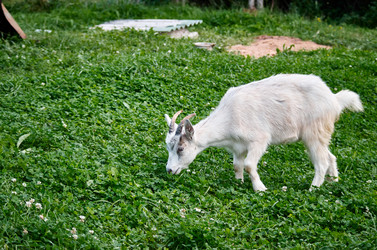 Similar image 21053714