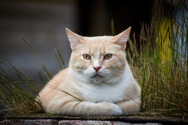 Similar image 21053718