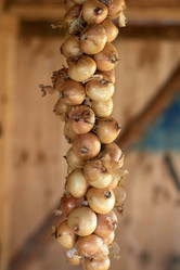 Similar image 21053720