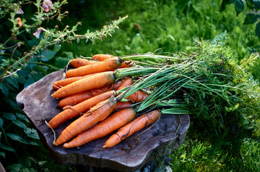 Similar image 21053721