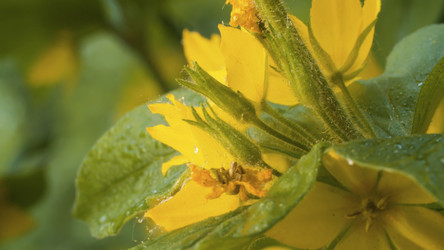 Similar image 21056399