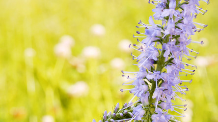 Similar image 21056406