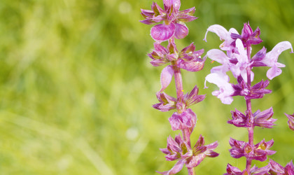 Similar image 21056408