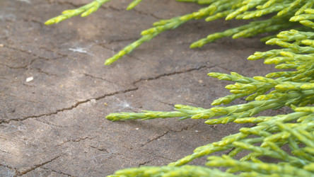 Similar image 21056410