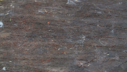 Similar image 21056414