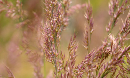 Similar image 21056304