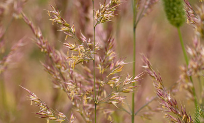 Similar image 21056322