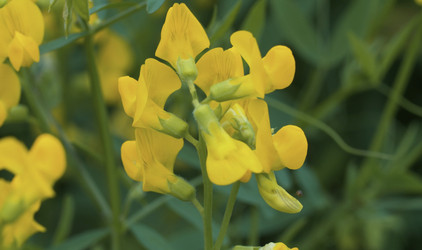 Similar image 21056324