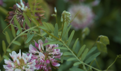 Similar image 21056328