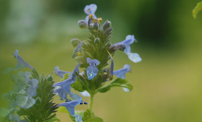 Similar image 21056330