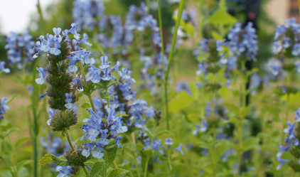 Similar image 21056340