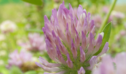 Similar image 21056346