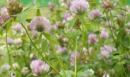 Similar image 21056350