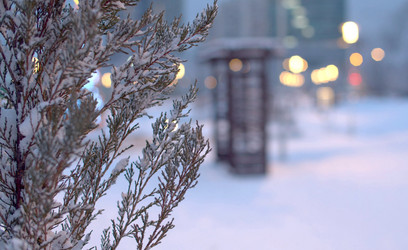 Similar image 21056457