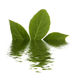 Similar image 21053724