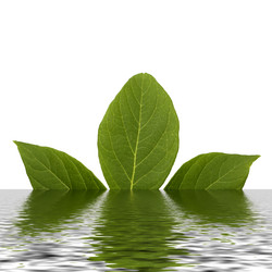 Similar image 21053725