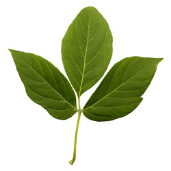 Similar image 21053726