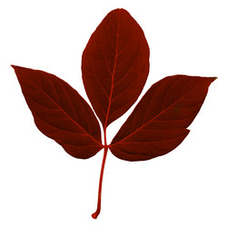 Similar image 21053728