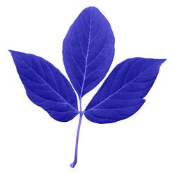 Similar image 21053729