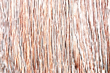 Similar image 21053736