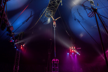 Similar image 21054807