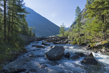 Similar image 21058436