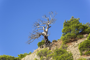 Similar image 21058443