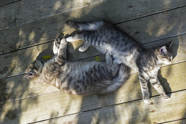 Similar image 21058447