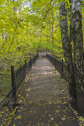 Similar image 21058448