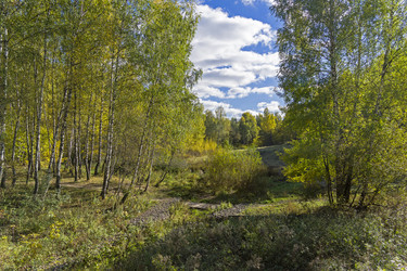 Similar image 21058449