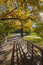 Similar image 21058452